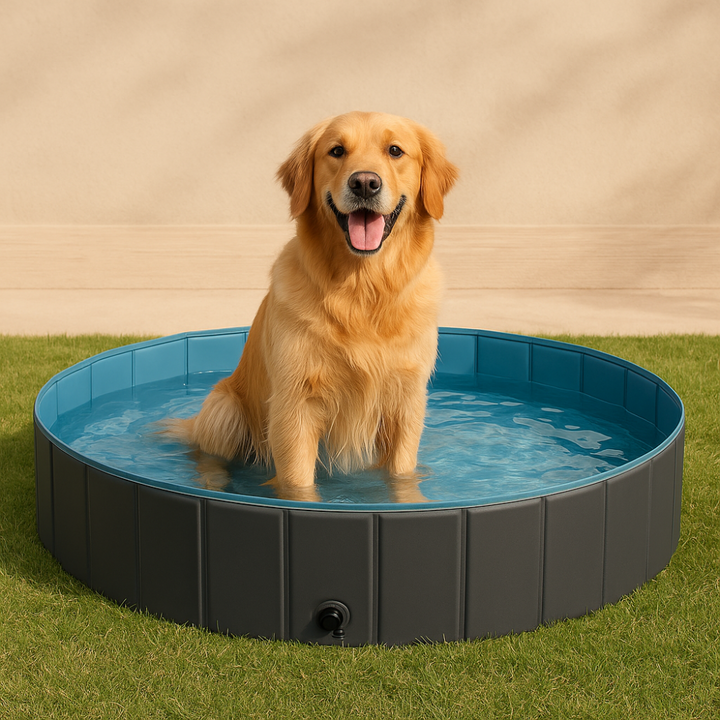 PoolPaw ™ - Hondenzwembad
