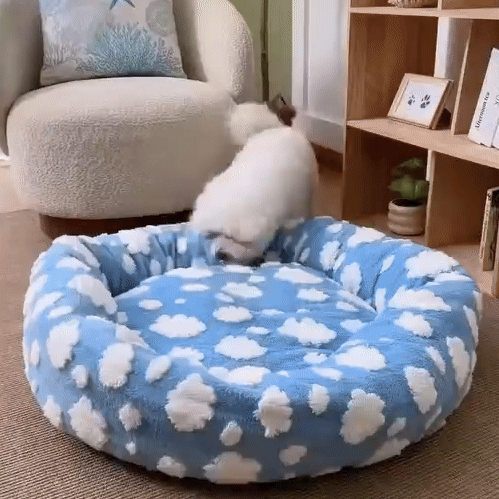 Katten Donutbed | Bed voor Katten en Kleine Honden