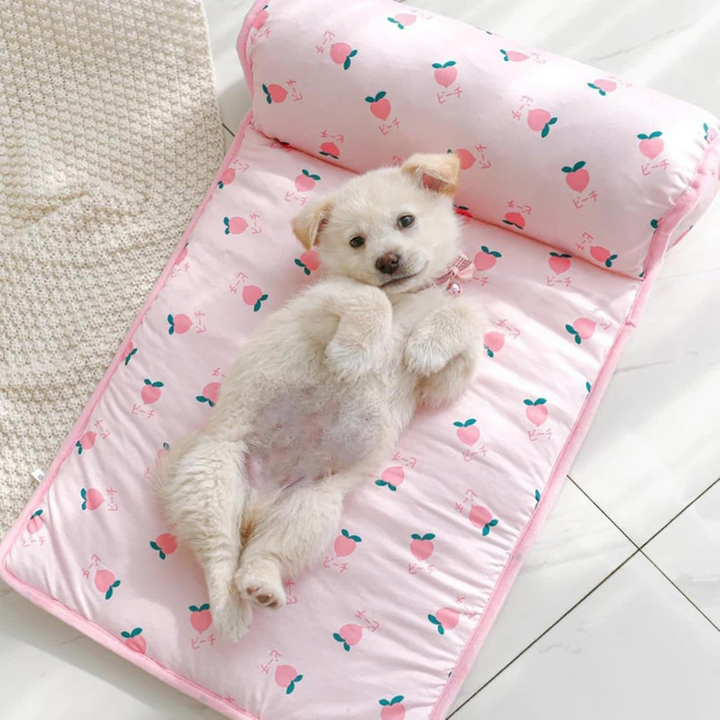 Hond Koelmat | Wasbaar Kussen