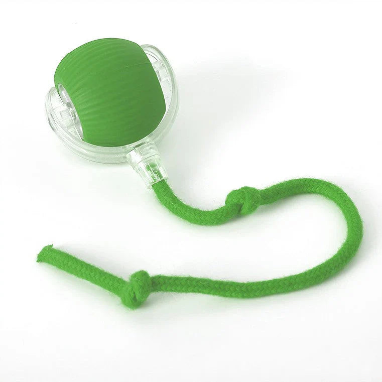 Interactieve Jachtbal voor Katten – HuntJoy