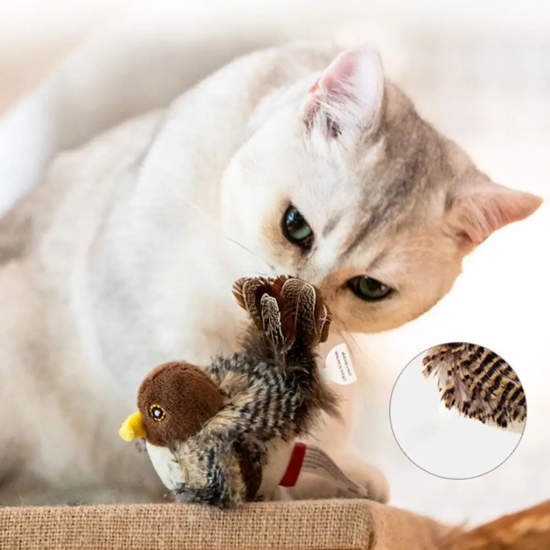 Fluitende Vogel Kat Speelgoed