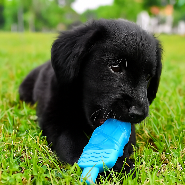 Koel kauwspeeltje voor honden