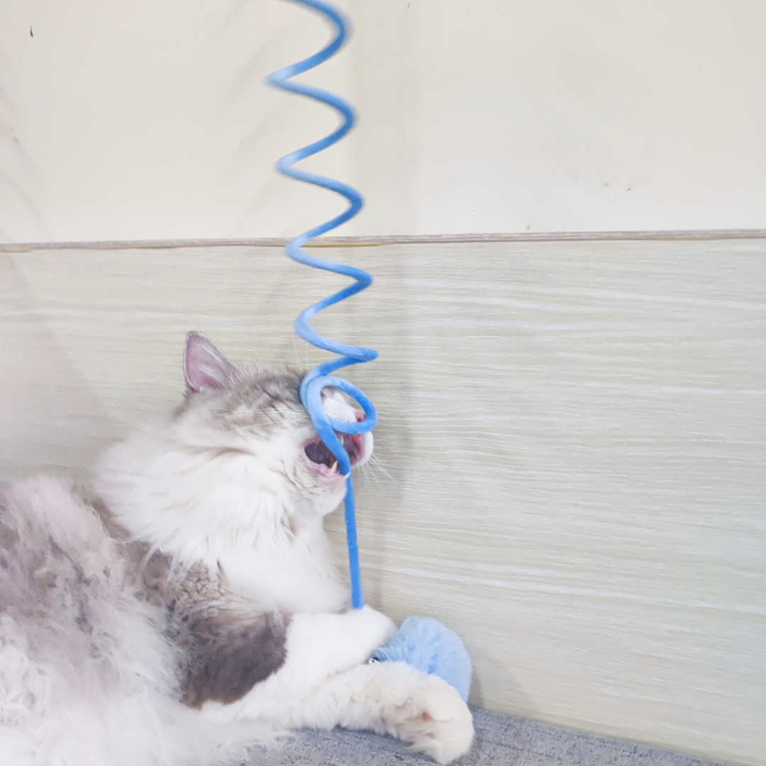 Interactief elastisch kattenspeelgoed