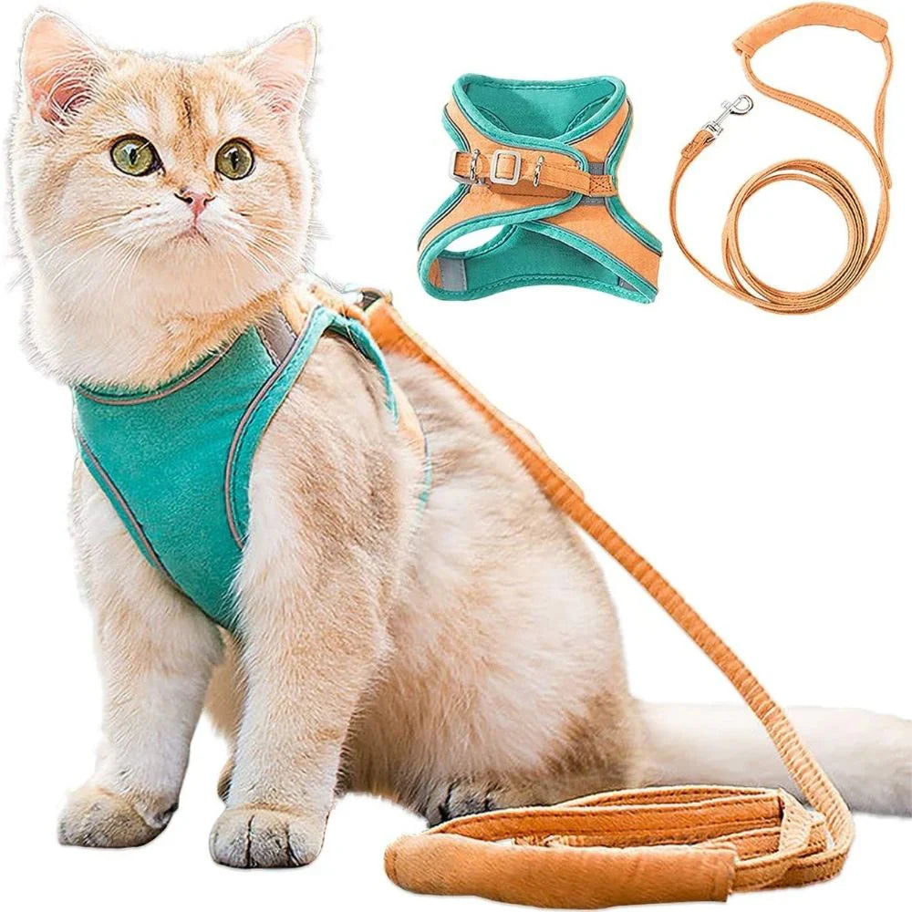 Harnas voor Katten – Veilig en Comfortabel voor Buitenavonturen