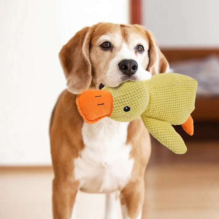 DuckBuddy - Pluche Hondenspeeltje