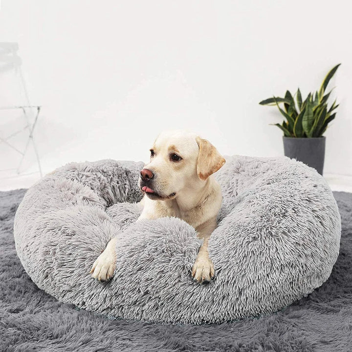Premium Hondenbed