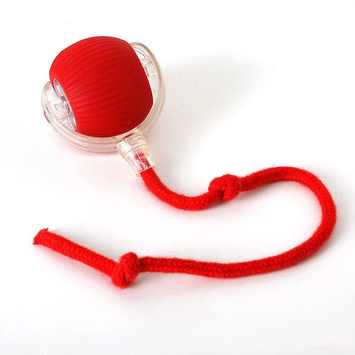 Interactieve Jachtbal voor Katten – HuntJoy