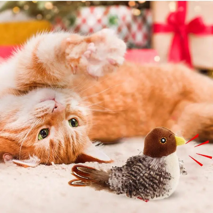 Fluitende Vogel Kat Speelgoed