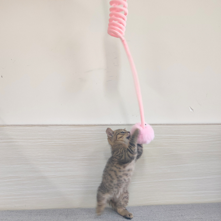 Interactief elastisch kattenspeelgoed