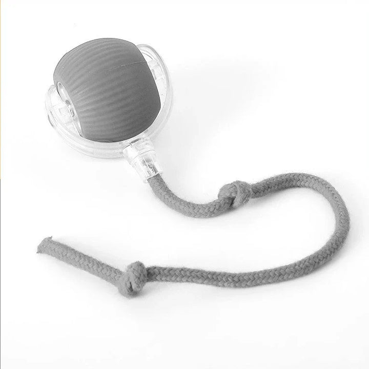 Interactieve Jachtbal voor Katten – HuntJoy
