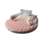 Blauwe Kat