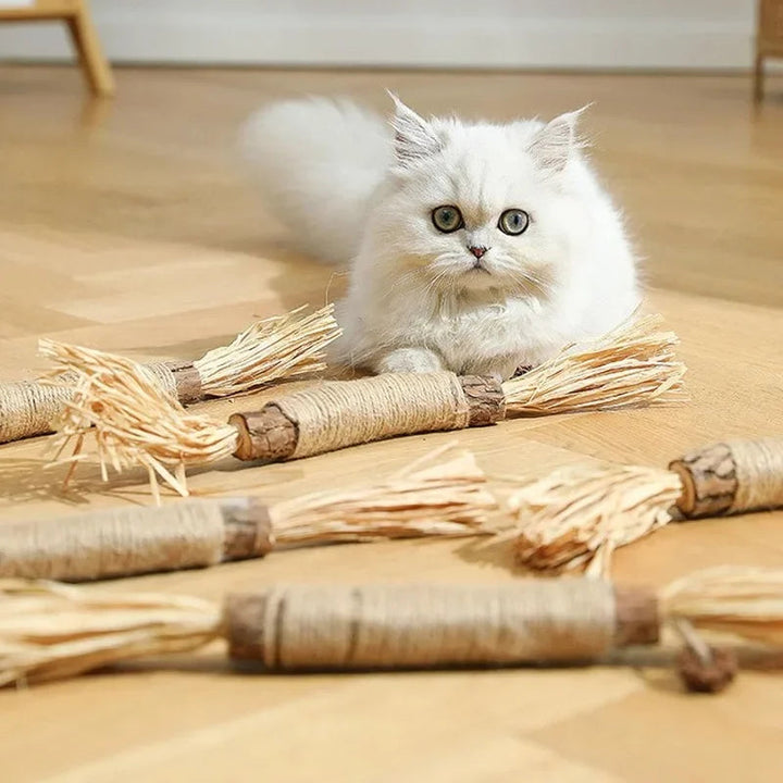 Tandenreinigingssticks voor Katten