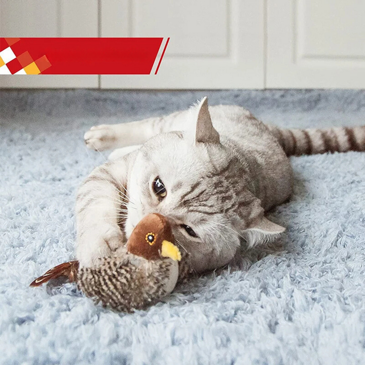 Fluitende Vogel Kat Speelgoed