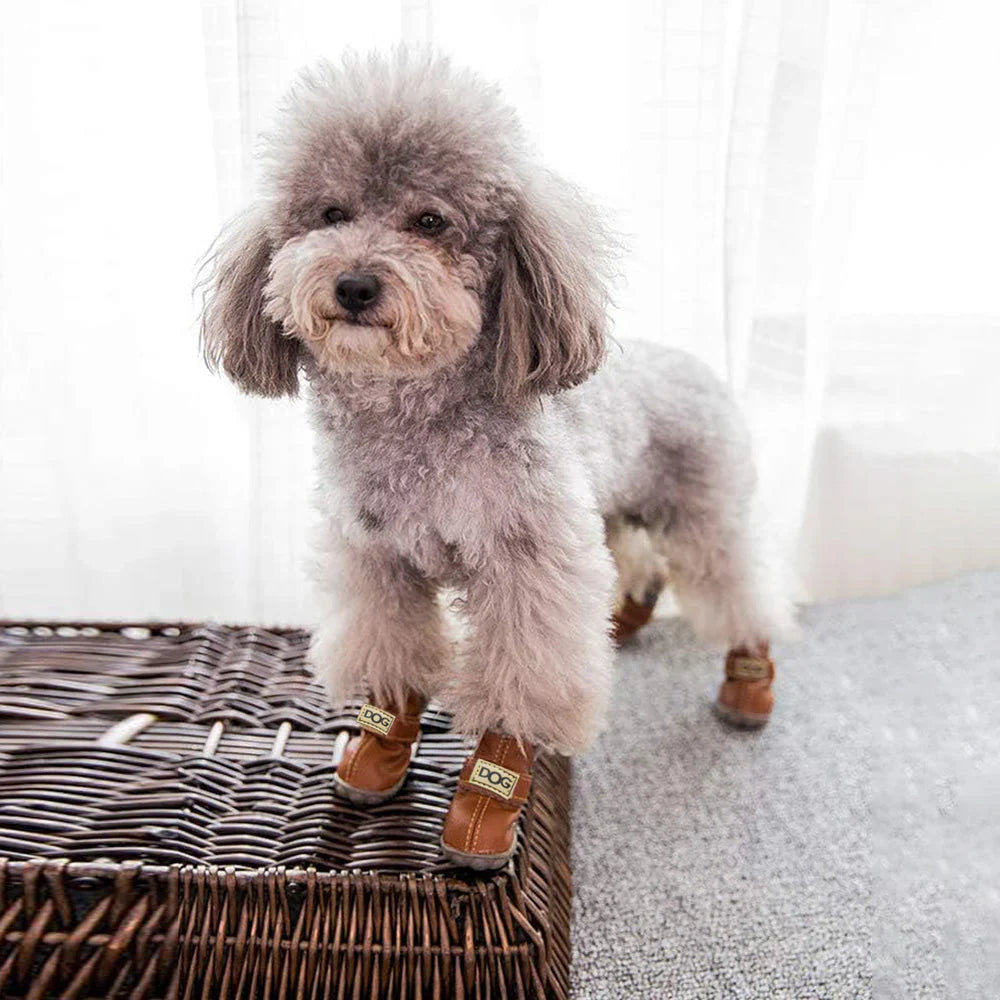 Warme Sneeuwlaarzen voor Honden – FrostPaw