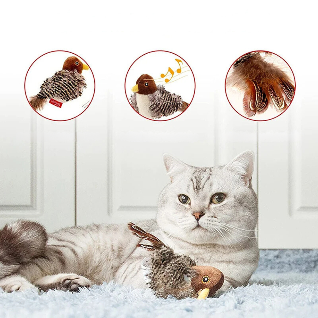 Fluitende Vogel Kat Speelgoed