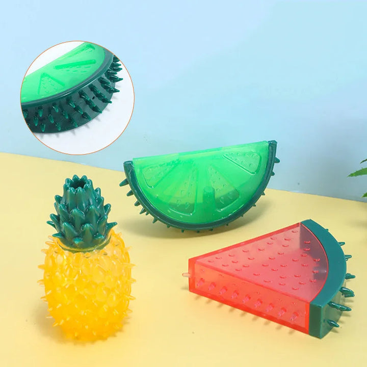 Koel Fruit Hondenspeeltje