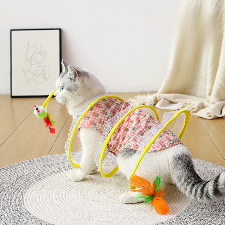 Interactief Katten Spiraal Speelgoed