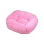 Roze