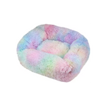 Regenboog