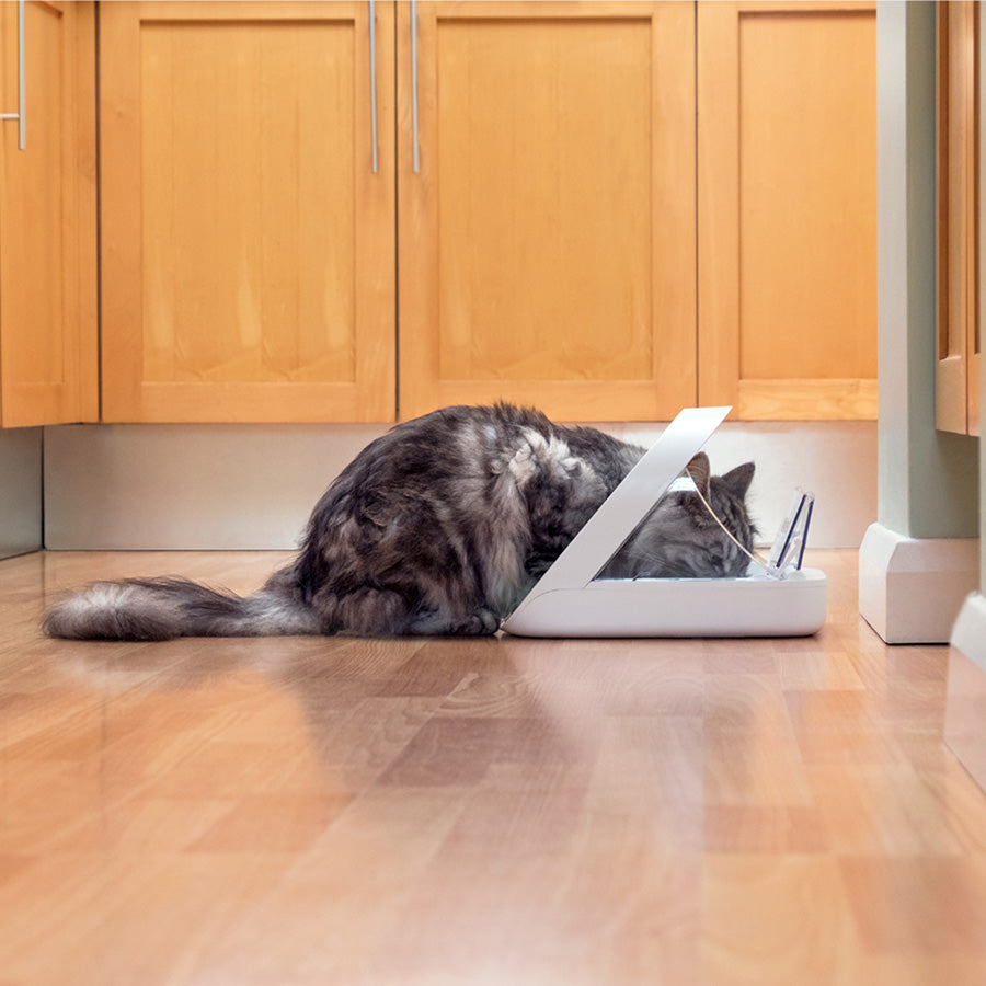 SureFeed Microchip Voerbak voor Katten & Kleine Honden