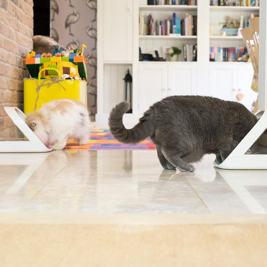 SureFeed Microchip Voerbak voor Katten & Kleine Honden