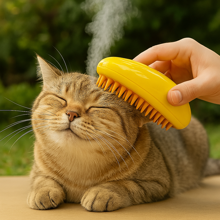 Steamy Brush ™ - Stoomborstel
