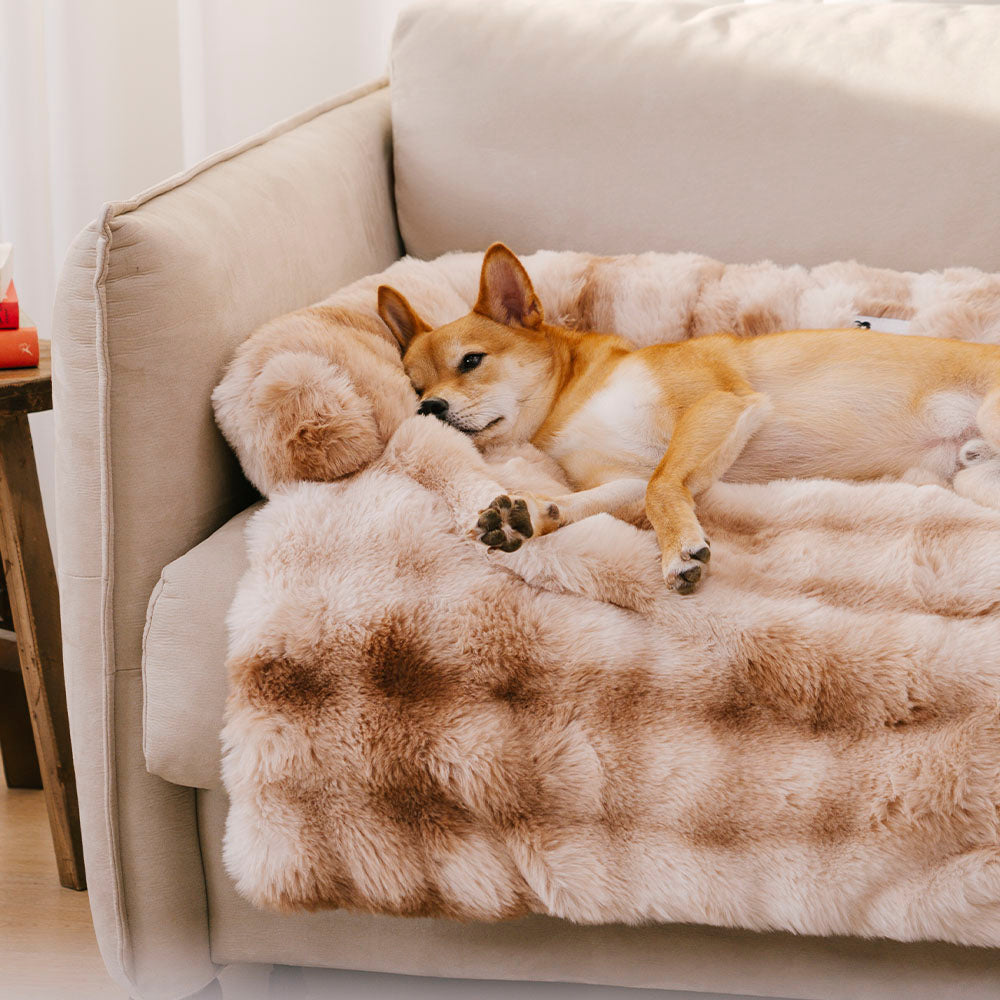 Fluffy Calming Hondenbed & Bankbeschermer