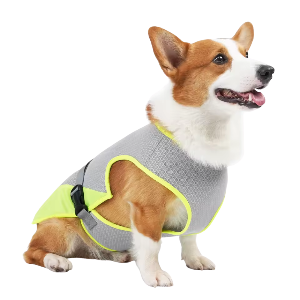 Honden Sneldrogend, Comfortabel & Reflecterend Voor Veiligheid