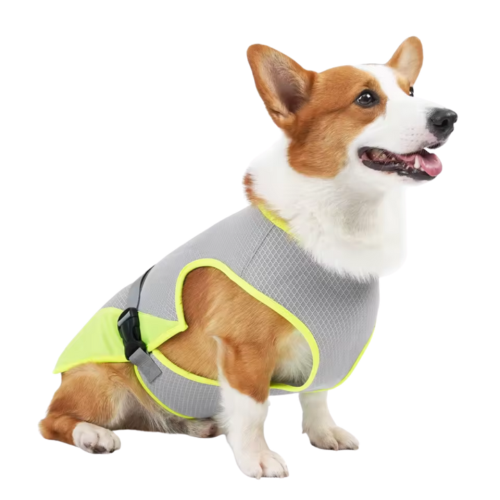 Honden Sneldrogend, Comfortabel & Reflecterend Voor Veiligheid