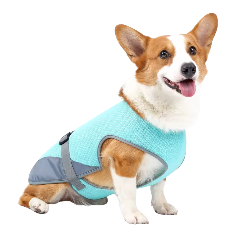 Honden Sneldrogend, Comfortabel & Reflecterend Voor Veiligheid