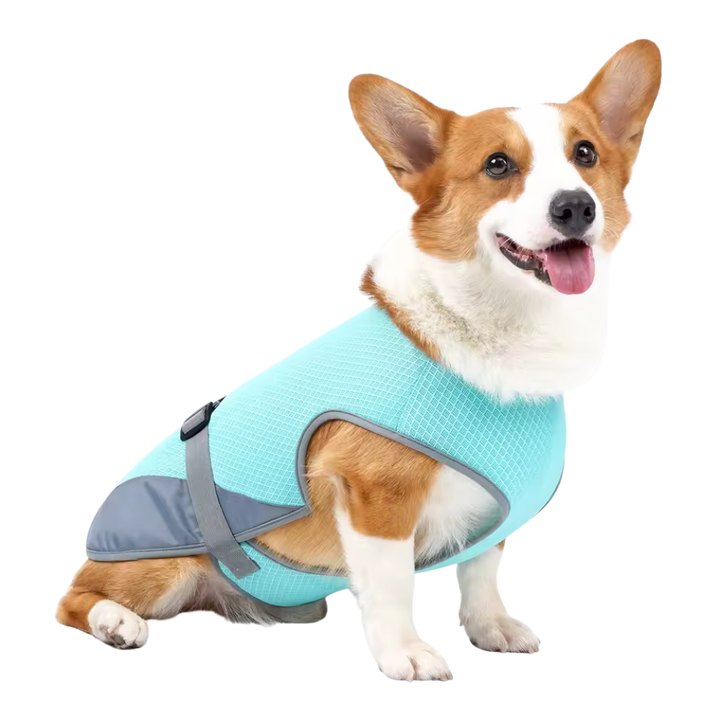 Honden Sneldrogend, Comfortabel & Reflecterend Voor Veiligheid