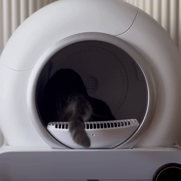 PawHaven ™ – Zelfreinigende kattenbak