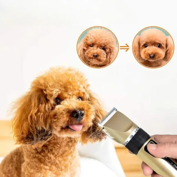 Stille Vachttrimmer set voor honden