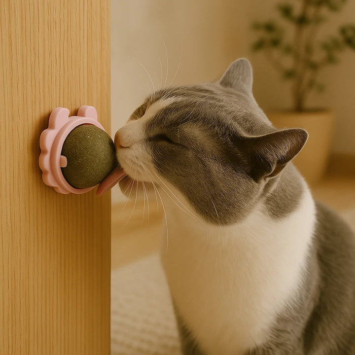 Kattenkruid Snackbal Kattenbal Met Kattenkruid Stimuleert Energie & Vermindert Stress
