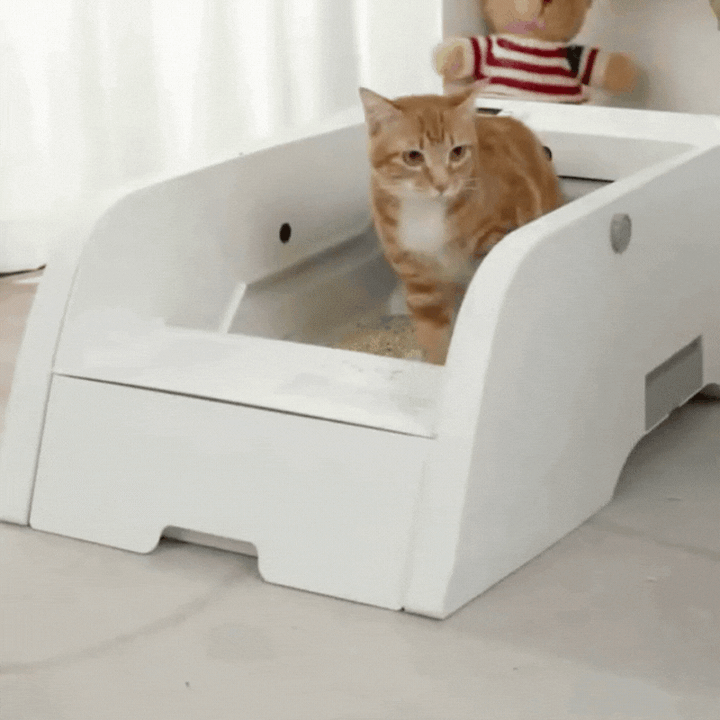 Zelfreinigende Kattenbak Slimme Zelfreinigende Kattenbak Voor Hygiëne & Gemak