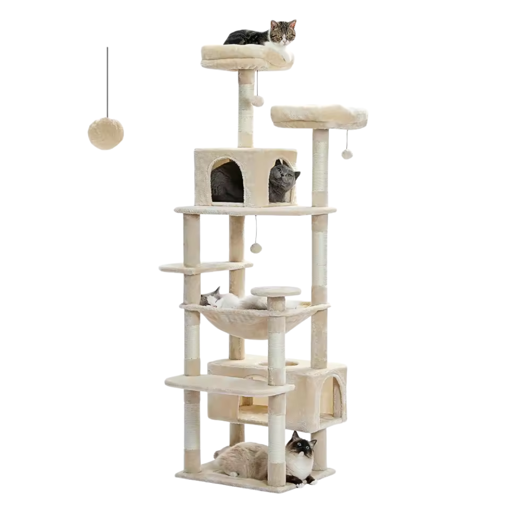 Moderne Kattentoren Luxe Kattentoren Met Krabpalen En Comfortabele Huisjes