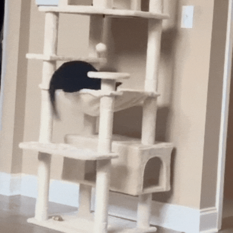 PurrLounge ™ – Moderne Kattentoren
