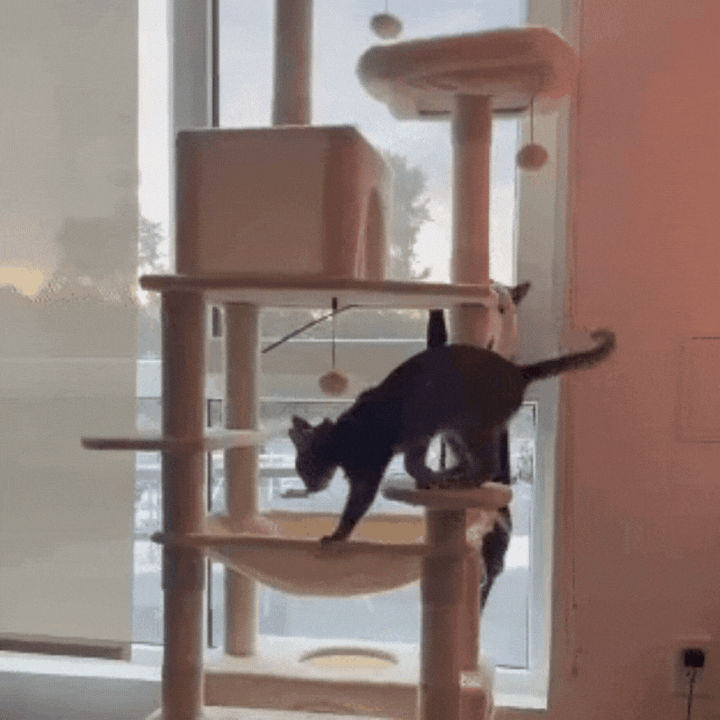 PurrLounge ™ – Moderne Kattentoren