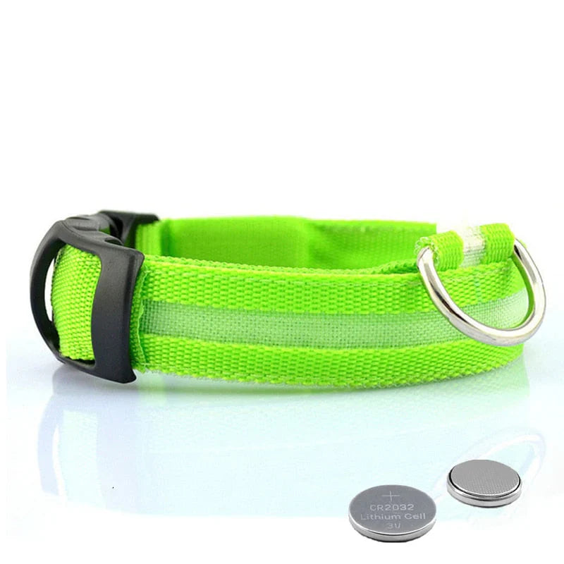 GlowCollar LED – BrightPaws