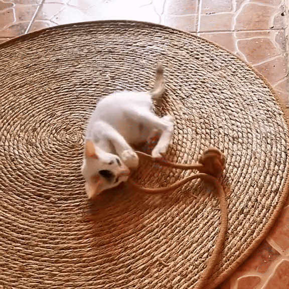 ScratchEase ™ - Katten krabmat