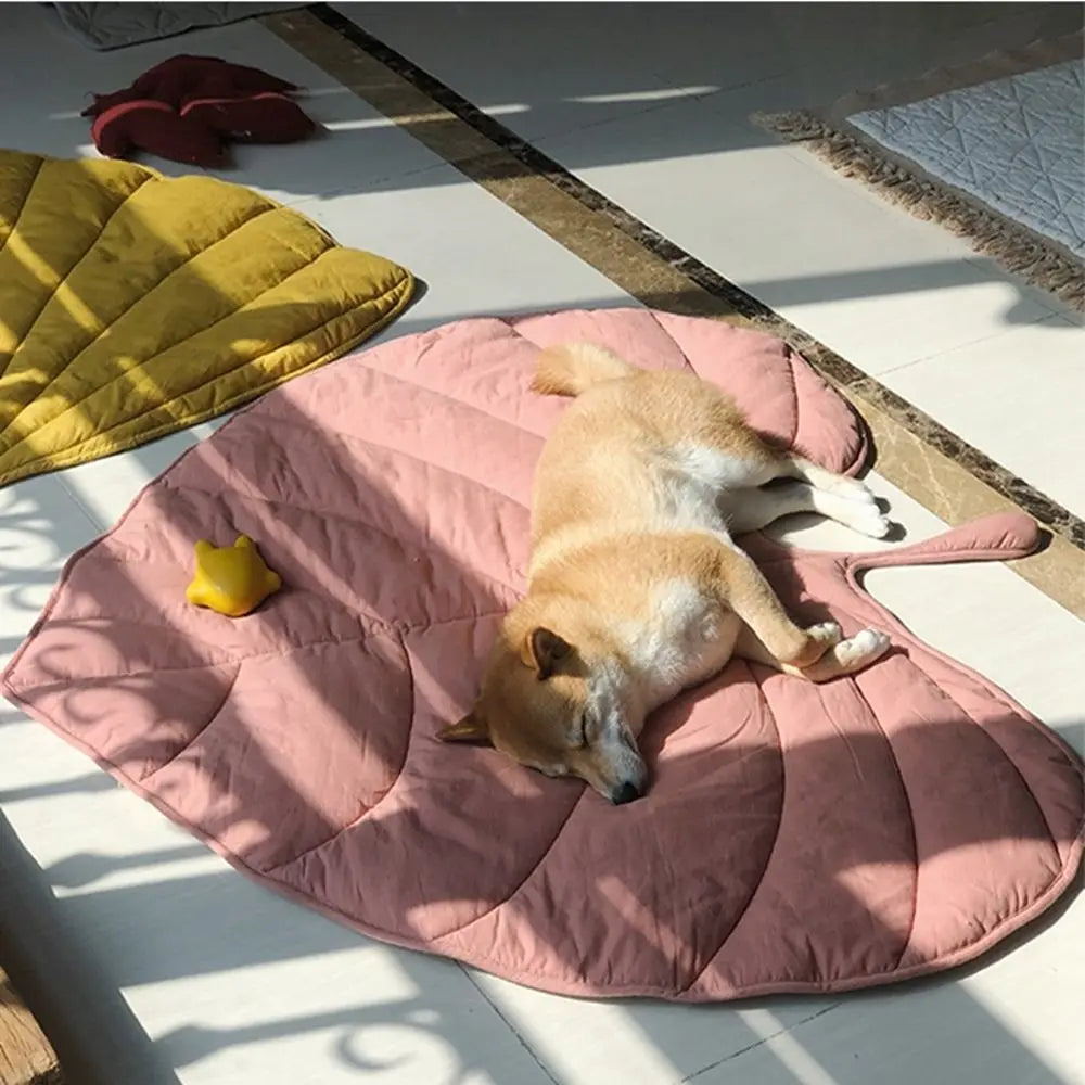 Honden Groot Wasbaar Koelbed | Voor Grote Honden