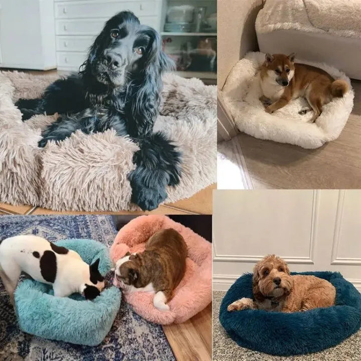 Hond Rechthoekig Kussenbed | Wasbaar