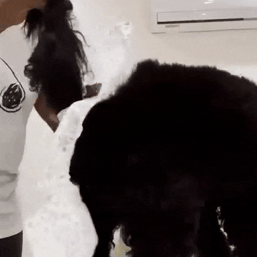 Honden Luiers Voor Honden Lekvrij, Sterke Absorptie, Comfortabele Pasvorm