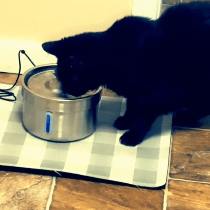 Roestvrijstalen Drinkfontein Voor Katten 3.2L Stil Stromend Water Met Filter