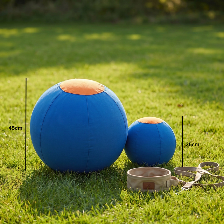 Duurzame trainingsbal met hoes voor honden