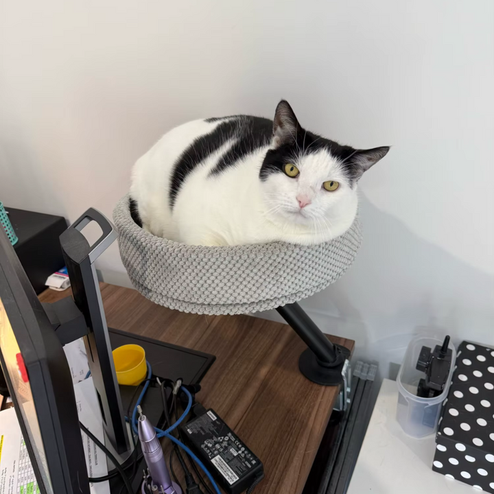 Katten Bureaubed | Slaapplek