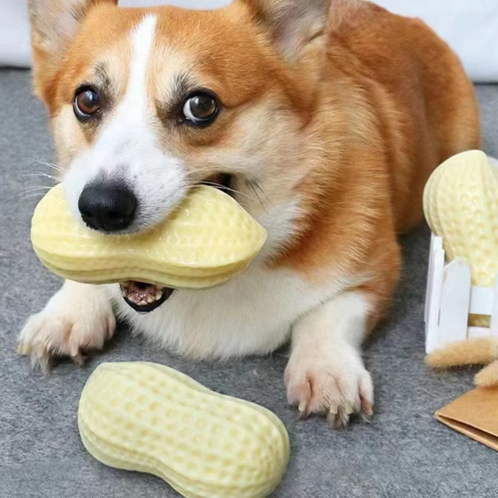 Duurzaam knuffelpeanut kauwspeeltje voor honden