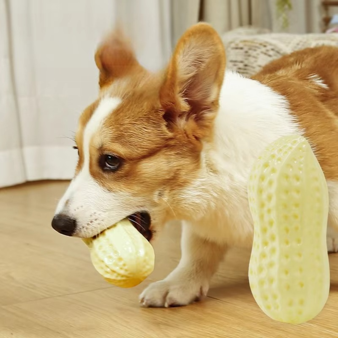 Duurzaam knuffelpeanut kauwspeeltje voor honden