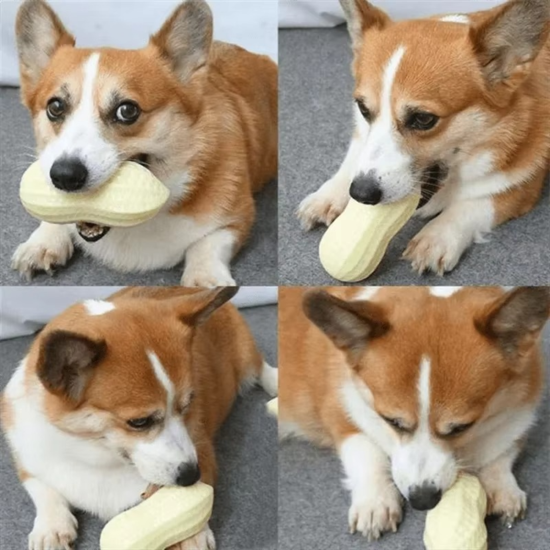 Duurzaam knuffelpeanut kauwspeeltje voor honden