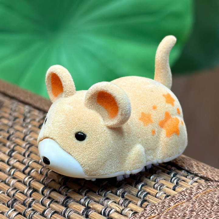 Actieve Hamster Indoor Kat Speelgoed